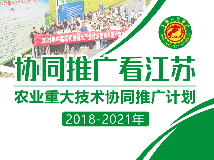 農科教協同 江蘇構建農業重大技術協同推廣新格局的實踐路徑